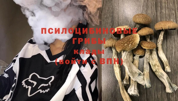 марихуана Гусиноозёрск