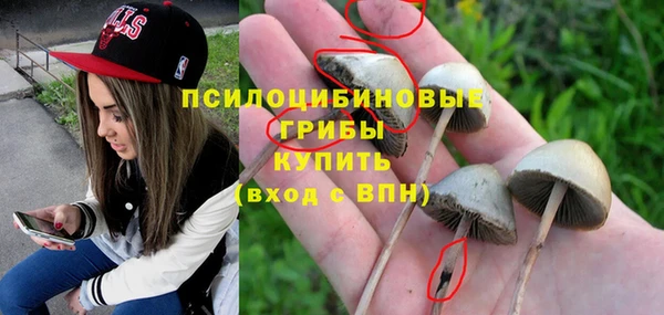 mdma Гусь-Хрустальный