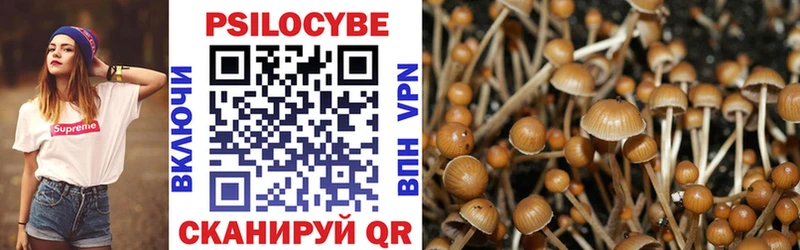 Купить закладки  Камышлов  Псилоцибиновые грибы мухоморы 